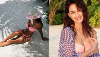 ಪಡ್ಡೆಹುಡುಗರ ನಿದ್ದೆಗೆಡಿಸಿದ ದಿಶಾ ಪಟಾನಿ.. ಸೂಪರ್ ಬೋಲ್ಡ್ ಲುಕ್ ಕಂಡು ಬೆರಗಾದ ಫ್ಯಾನ್ಸ್! 