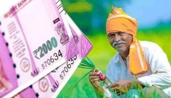 PM kisan ಯೋಜನೆಯ 10ನೇ ಕಂತಿನ ₹2000 ನಿಮ್ಮ ಖಾತೆಗೆ ಬಂದಿಲ್ಲವೇ? ಹಾಗಿದ್ರೆ ತಕ್ಷಣ ಈ ಕೆಲಸ  ಮಾಡಿ