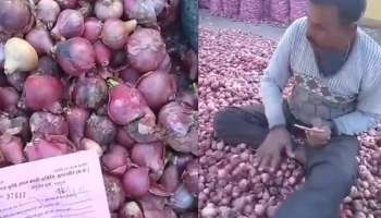 Onion Price: 50 ಪೈಸೆಗೆ ಸಿಗುತ್ತೆ 1 ಕೆಜಿ ಈರುಳ್ಳಿ! 