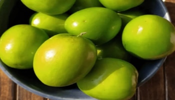 Plum Fruit: ಪ್ಲಮ್ ಹಣ್ಣುಗಳ ಸೇವನೆಯಿಂದ ಎಷ್ಟೆಲ್ಲಾ ಪ್ರಯೋಜನಗಳಿವೆ ಗೊತ್ತಾ?