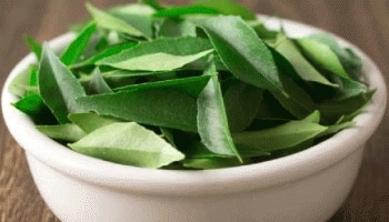 Curry Leaves: ಕರಿಬೇವಿನ ಅತಿಯಾದ ಸೇವನೆ ನಿಮ್ಮಲ್ಲಿ ಈ ಸಮಸ್ಯೆಗಳನ್ನು ಹೆಚ್ಚಿಸಬಹುದು