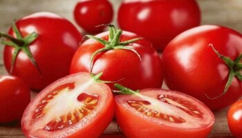 Benefits of Tomato in Diabetes: ಮಧುಮೇಹದಲ್ಲಿ ಟೊಮೇಟೊ ತಿನ್ನಬೇಕೇ ಅಥವಾ ಬೇಡವೇ? ತಜ್ಞರ ಉತ್ತರ ತಿಳಿಯಿರಿ