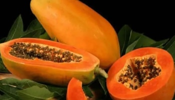 Papaya Side Effects: ಇಂತಹ ಜನರು ಪಪ್ಪಾಯಿ ಸೇವನೆಯಿಂದ ದೂರ ಉಳಿಯಬೇಕು, ಲಾಭದ ಬದಲು ಹಾನಿ ಸಾಧ್ಯತೆ