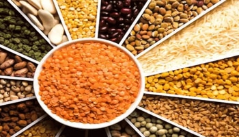 Protein: ಮೊಟ್ಟೆ, ಪನ್ನೀರ್ ತಿನ್ನದವರಿಗೆ, ಈ ಕಾಳುಗಳೇ ಪ್ರೋಟೀನ್‌ನ ನಿಧಿ 