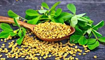 Fenugreek Benefits : ಮೆಂತ್ಯ ಬೀಜದ 6 ಆಯುರ್ವೇದ ಆರೋಗ್ಯ ಪ್ರಯೋಜನಗಳು : ಇಂದೇ ಸೇವಿಸಲು ಆರಂಭಿಸಿ!