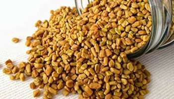 Fenugreek Benefits: ಈ ಸಮಸ್ಯೆಗಳಿಂದ ಪರಿಹಾರ ಪಡೆಯಲು ಸಹಕಾರಿ ನೆನೆಸಿಟ್ಟ ಮೆಂತ್ಯ ಸೇವನೆ