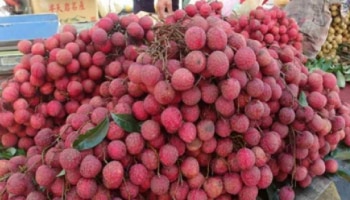 Lychee Health benefits: ಬೇಸಿಗೆಯಲ್ಲಿ ಲಿಚಿಹಣ್ಣು ಸೇವಿಸುವುದರಿಂದ ಸಿಗುತ್ತೆ ಅನೇಕ ಪ್ರಯೋಜನಗಳು 