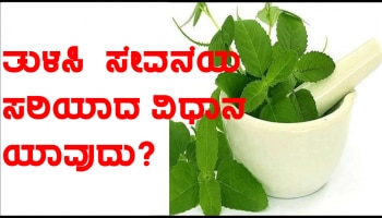 Tulsi ಎಲೆಗಳನ್ನು ಈ ರೀತಿ ಎಂದಿಗೂ ಸೇವಿಸಬೇಡಿ, ಆರೋಗ್ಯಕ್ಕೆ ತುಂಬಾ ಹಾನಿಕರ