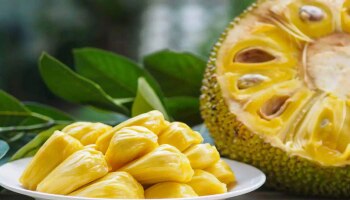 Jack Fruit: ಹಲಸಿನ ಹಣ್ಣು ಸೇವಿಸಿದ ಬಳಿಕ ಅಪ್ಪಿ-ತಪ್ಪಿಯೂ ಕೂಡ ಇವುಗಳನ್ನು ಸೇವಿಸಬೇಡಿ, ಶರೀರಕ್ಕೆ ಹಾನಿ ತಪ್ಪಿದ್ದಲ್ಲ!