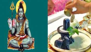 Mahashivratri: ಮಹಾಶಿವರಾತ್ರಿಯಂದು ಶಿವನ ಆರಾಧನೆಯಲ್ಲಿ ಈ ತಪ್ಪುಗಳನ್ನು ಮಾಡಬೇಡಿ