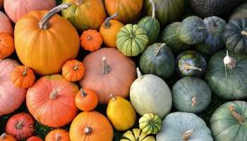 Health Benefits of eating pumpkin 