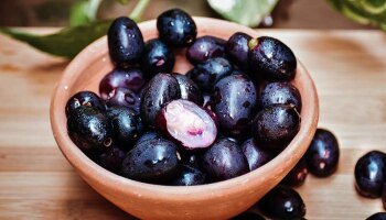 Black Plum Health Benefits: ನಿತ್ಯ ನೇರಳೆ ಹಣ್ಣು ಸೇವನೆಯ 6 ಲಾಭಗಳು ಇಲ್ಲಿವೆ 