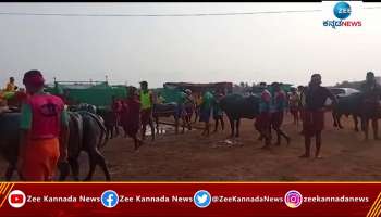 mangalore kambala celebration 2022