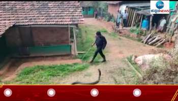 King cobra hidden in bathroom OMG Watch snake video