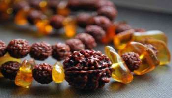 Rudraksha: ಯಾವಾಗ, ಯಾರು ರುದ್ರಾಕ್ಷಿಯನ್ನು ಧರಿಸಬಾರದು ಗೊತ್ತಾ 