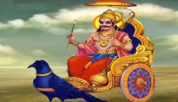 Shani Amavasya 2022: ಶನಿಯ ಕೃಪೆಗೆ ಪಾತ್ರರಾಗಲು ತುಂಬಾ ವಿಶೇಷವಾಗಿದೆ ಶನಿ ಅಮಾವಾಸ್ಯೆ, ಈ ರೀತಿ ಲಾಭ ಪಡೆಯಿರಿ