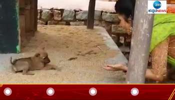 animals lover Aditi Prabhudeva