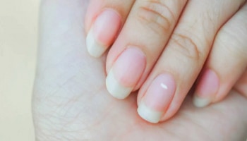 Nail Tips: ನಿಮ್ಮ ಉಗುರಿನ ಅಂದ ಹೆಚ್ಚಾಗಬೇಕಾದರೆ ಈ ಟಿಪ್ಸ್‌ ಫಾಲೋ ಮಾಡಿ