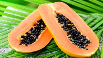 Papaya Benefits : ಆರೋಗ್ಯಕ್ಕೆ ತುಂಬಾ ಪ್ರಯೋಜನಕಾರಿ ಪಪ್ಪಾಯಿ : ಈ ಸಮಸ್ಯೆಗಳಿಗೆ ಪರಿಹಾರ