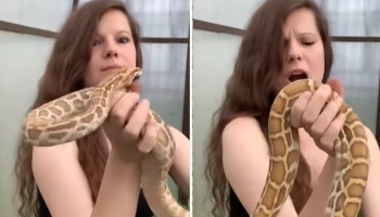 Viral Video Today: ಹಾವಿನ ಜೊತೆ ಸುಂದರಿಯ ಚೆಲ್ಲಾಟ, ನಂತರ ನಡೆದಿದ್ದು ಯುವತಿ ಲೈಫಲ್ಲಿ ಮರೆಯಲ್ಲ