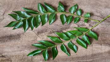 Curry Leaves Benefits: ನಿತ್ಯ ಮುಂಜಾನೆ ಕರಿಬೇವಿನ ಎಲೆ ತಿನ್ನುವುದರಿಂದ ಈ ರೋಗಗಳು ನಿಮ್ಮ ಹತ್ತಿರವೂ ಸುಳಿಯಲ್ಲ 