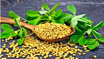 Fenugreek Seed Benefits: ಮೆಂತೆ ಕಾಳುಗಳ ಸೇವನೆಯಿಂದಾಗುವ ಈ ಅದ್ಭುತ ಲಾಭ ನಿಮಗೆ ತಿಳಿದಿದೆಯೇ?