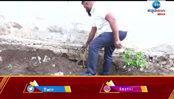 Two Snakes Found in Site Area at Gadag