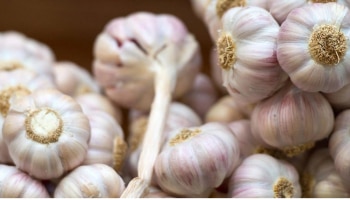 Garlic: ಬೆಳ್ಳುಳ್ಳಿ ಸೇವನೆಯಿಂದಾಗುವ ಈ ಅದ್ಭುತ ಲಾಭ ನಿಮಗೆ ತಿಳಿದಿದೆಯೇ?