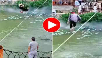 Viral Video: ಕಣ್ಣಿಗೆ ಬಟ್ಟೆ ಕಟ್ಟಿಕೊಂಡು ವ್ಯಕ್ತಿಯ ಸ್ಟಂಟ್, ಕೆಳಗಿತ್ತು ಭಯಾನಕ ಮೊಸಳೆಗಳು...