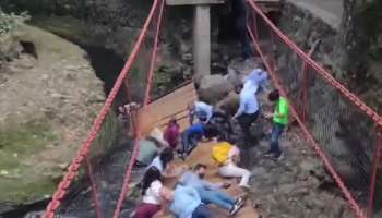 Viral Video: Hanging bridge collapsed Video Viral On Social Media