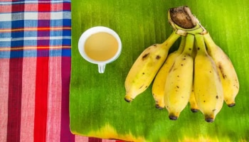 Good Sleep: ಗುಣಮಟ್ಟದ ಗಾಢ ನಿದ್ರೆಗಾಗಿ ಮಲಗುವ ಮುನ್ನ ಈ ಸ್ಪೆಷಲ್ ಟೀ ಸೇವಿಸಿ