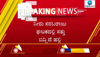 Lizard found in drinking water witnesses uttar negligence of Raichur municipal workers