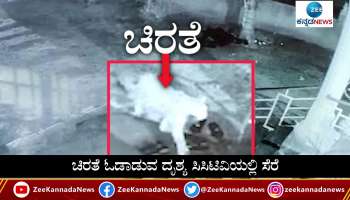 leopard attacks on dog in mandy