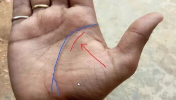 Palmistry: ಕೈಯಲ್ಲಿರುವ ಈ ಅದೃಷ್ಟ ರೇಖೆ ನಿಮ್ಮನ್ನು ರಾತ್ರೋರಾತ್ರಿ ಮಿಲಿಯನೇರ್ ಮಾಡುತ್ತೆ!