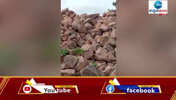 Snake video captured in Vijayapura 