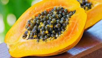 Papaya Facts: ಊಟದ ಬಳಿಕ ಪರಂಗಿ ಹಣ್ಣನ್ನು ಸೇವಿಸಬಹುದೇ? ಇಲ್ಲಿದೆ ಮುಖ್ಯ ಮಾಹಿತಿ 