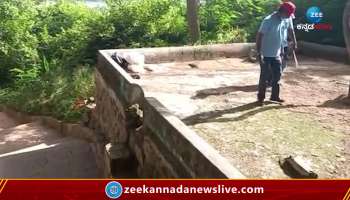 Ashada preparations at Chamundeshwari Temple