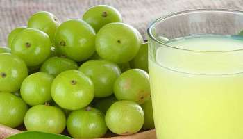 Amla Juice Benefits: ಈ ಸಮಸ್ಯೆಗಳಿಗೆ ರಾಮಬಾಣ ನೆಲ್ಲಿ ಕಾಯಿ ಜ್ಯೂಸ್ 