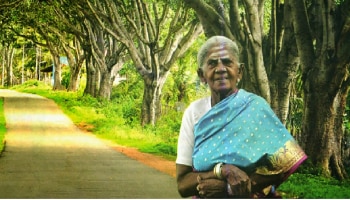 Saalumarada Thimmakka : ಡಾ. ಸಾಲುಮರದ ತಿಮ್ಮಕ್ಕಗೆ ಸಚಿವ‌ ಸಂಪುಟ ದರ್ಜೆಯ ಸ್ಥಾನಮಾನ!