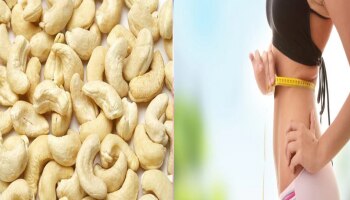 Cashew Benefits: ಗೋಡಂಬಿ ತಿನ್ನುವುದರಿಂದ ತೂಕ ಇಳಿಕೆಯಾಗುತ್ತದೆಯೇ? ಇಲ್ಲಿದೆ ನಿಜಾಂಶ