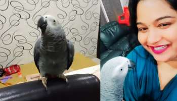 Parrot: ಗಿಣಿ ಹುಡುಕಿಕೊಟ್ಟವರಿಗೆ 50 ಸಾವಿರ ಬಹುಮಾನ