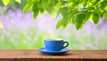 ನೀವು ಬಳಸುವ ಟೀ ಸೊಪ್ಪು ಅಸಲಿಯೋ? ನಕಲಿಯೋ? ನೀರಿನಿಂದ ಈ ರೀತಿ ಪತ್ತೆ ಹಚ್ಚಿ 