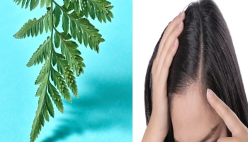 Hair Care Tips: ಕೂದಲಿನ ಸಮಸ್ಯೆಗೆ ರಾಮಬಾಣ ಉಪಾಯ ಹುಣಸೆ ಸೊಪ್ಪು, ಈ ರೀತಿ ಬಳಸಿ