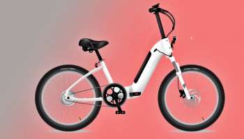 Electric Cycle : ಫೋಲ್ಡ್‌ ಮಾಡಬಹುದಾದ, 80KM ಮೈಲೇಜ್‌ ಕೊಡುವ ಎಲೆಕ್ಟ್ರಿಕ್ ಸೈಕಲ್ 