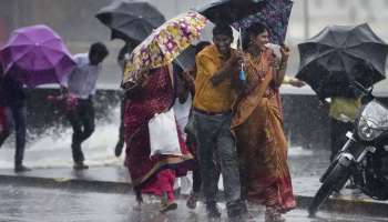 Rain Alert: ರಾಜ್ಯದ ಹಲವೆಡೆ ಇಂದು ಭಾರೀ ಮಳೆ,  ಈ ಜಿಲ್ಲೆಗಳಿಗೆ ಯೆಲ್ಲೋ ಅಲರ್ಟ್