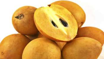 Chikoo Fruit: ಚಿಕ್ಕೂ ಹಣ್ಣು ಒಂದಲ್ಲ ಹಲವಾರು ರೋಗಗಳಿಗೆ ಪರಿಹಾರ ನೀಡುತ್ತದೆ 