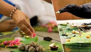 Pitru Paksha : ಹೆಣ್ಣು ಮಕ್ಕಳೂ ಶ್ರಾದ್ಧ ಕರ್ಮ ಮಾಡಬಹುದೇ! ಧರ್ಮಗ್ರಂಥ ಏನು ಹೇಳುತ್ತೆ?