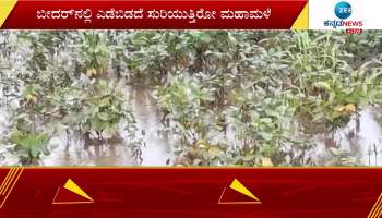 Heavy rain again in Western Ghats region