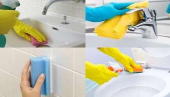 Bathroom Cleaning: ಬಾತ್ ರೂಮ್ ಫಳಫಳ ಅಂತಾ ಹೊಳೆಯಬೇಕೆ? ಹಾಗಾದ್ರೆ ಈ ಪುಟ್ಟ ಕಲ್ಲನ್ನು ಉಪಯೋಗಿಸಿ ನೋಡಿ