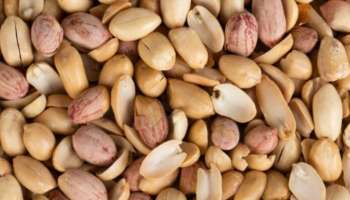 Peanut Side Effects: ಶೇಂಗಾ ತಿಂದ್ರೆ ದೇಹದ ಮೇಲೆ ಏನೆಲ್ಲಾ ಪರಿಣಾಮ ಬೀರುತ್ತೆ ಗೊತ್ತಾ.?